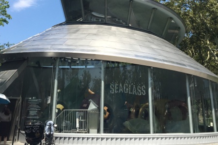 Trips + Giggles Favorite Places: The Seaglass Carousel