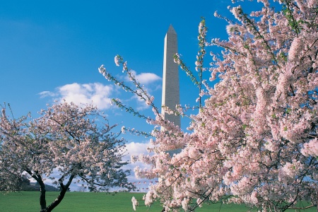5 Great Hotels for Families in Washington, D.C.
