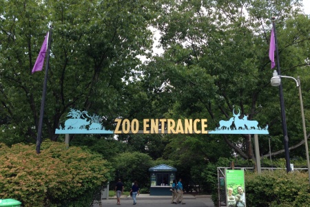 Trips + Giggles Favorite Places: The Bronx Zoo